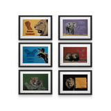 David Bucklow - House Of Mandela Art