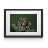 David Bucklow - House Of Mandela Art