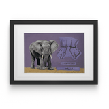 David Bucklow - House Of Mandela Art