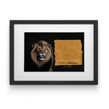 David Bucklow - House Of Mandela Art